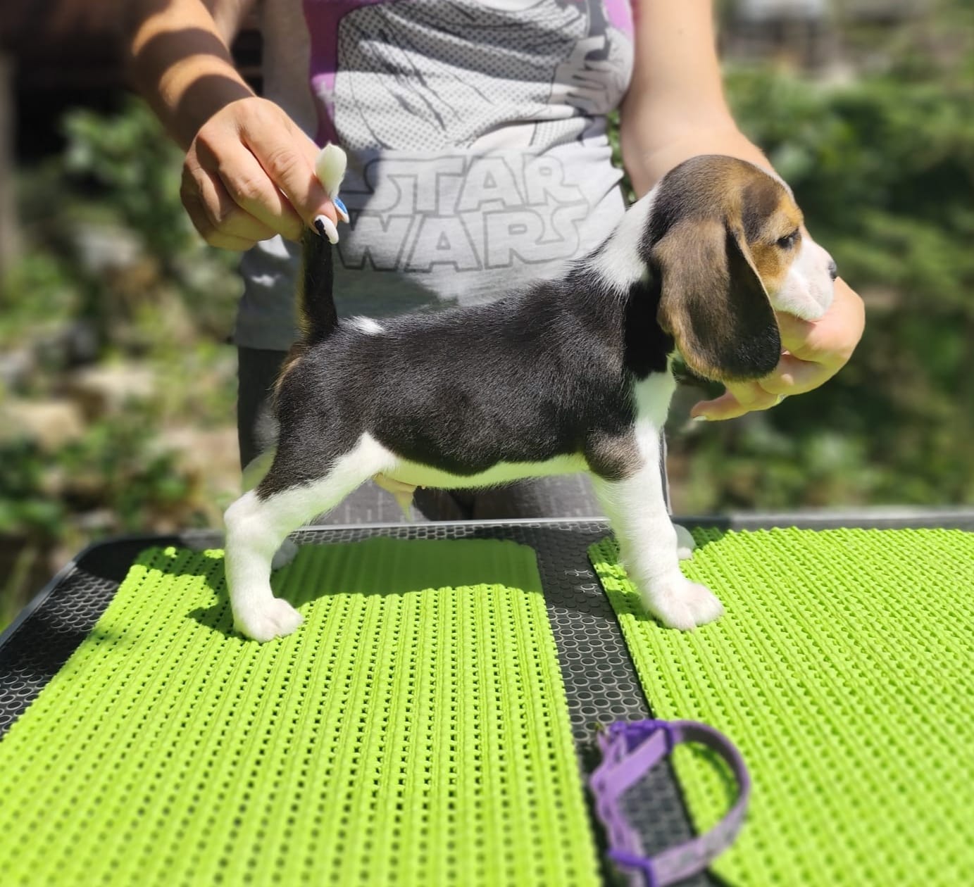 Y Litter 19.06.2025 (update)