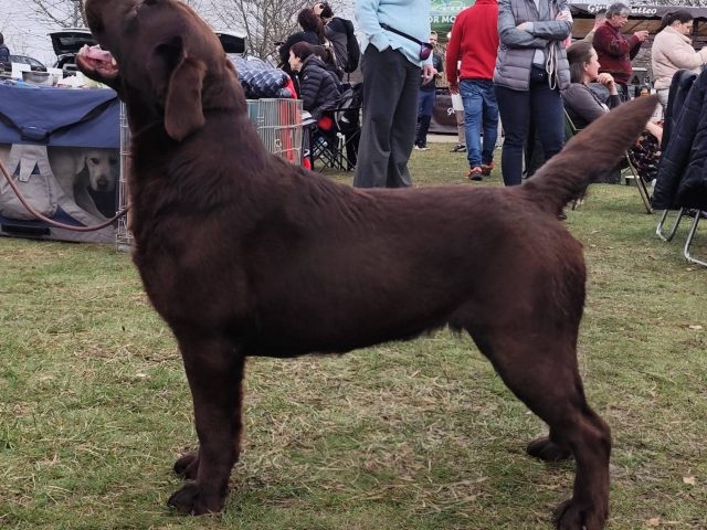 Love At First Sight Westtano